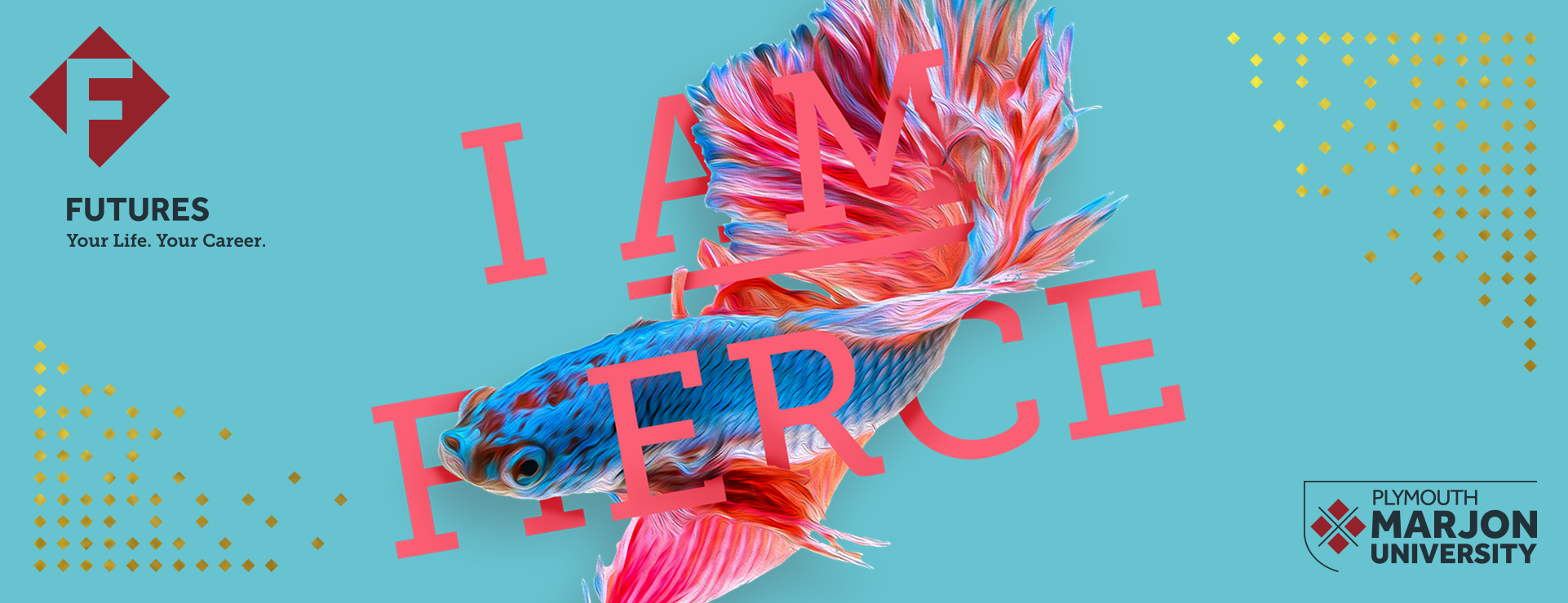 Banner image