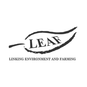 mono logo for LEAF